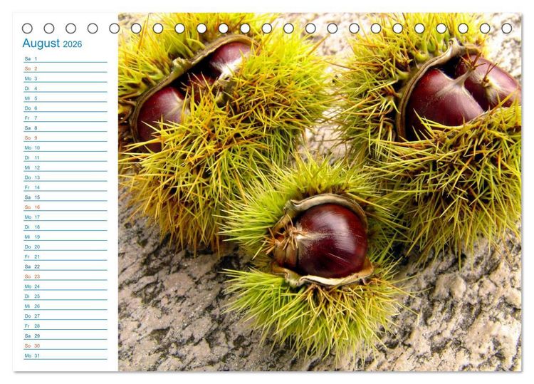 Produktbild: Wundersch&ouml;nes Tessin (Tischkalender 2026 DIN A5 quer), CALVENDO Monatskalender