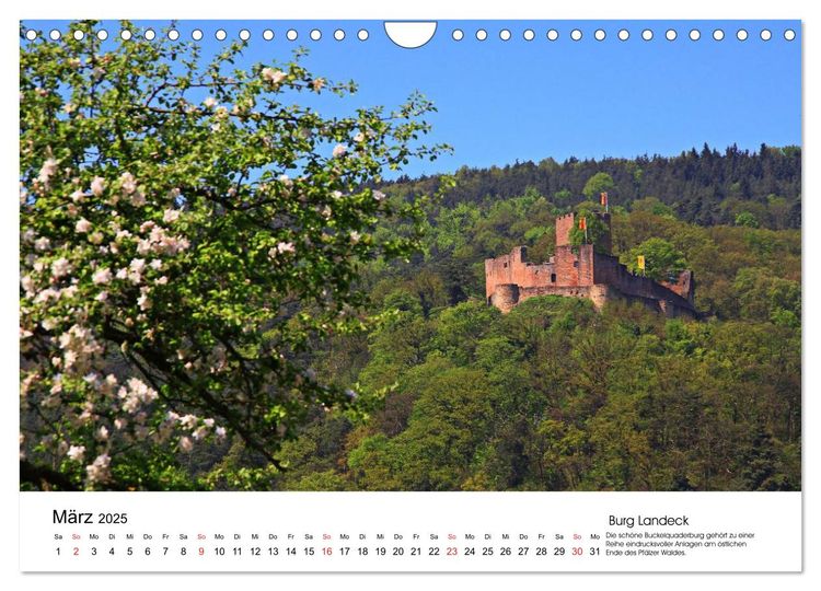 Deutschlands Burgen - besondere Burgen und schöne Schlösser (Wandkalender 2025 DIN A4 quer), CALVENDO Monatskalender