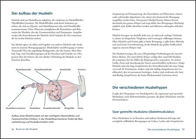 Produktbild: Kraft und Stabilit&auml;t bis ins hohe Alter