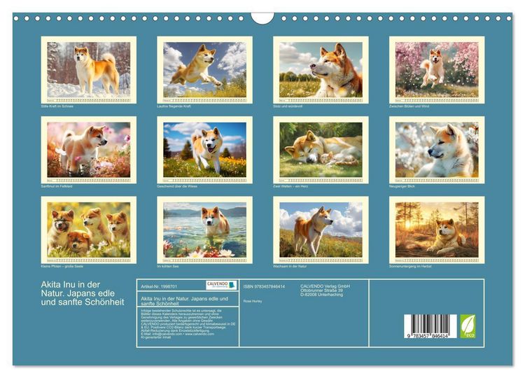 Produktbild: Akita Inu in der Natur. Japans edle und sanfte Sch&ouml;nheit (Wandkalender 2026 DIN A3 quer), CALVENDO Monatskalender