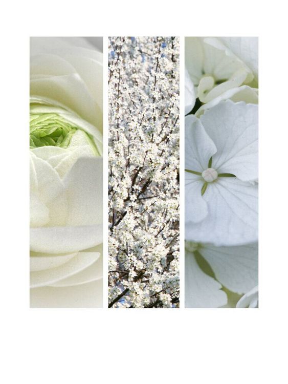 Produktbild: CALVENDO Puzzle Natural Trios - Wei&szlig;e Bl&uuml;ten | 1000 Teile Lege-Gr&ouml;&szlig;e 64x48cm Foto-Puzzle f&uuml;r gl&uuml;ckliche Stunden