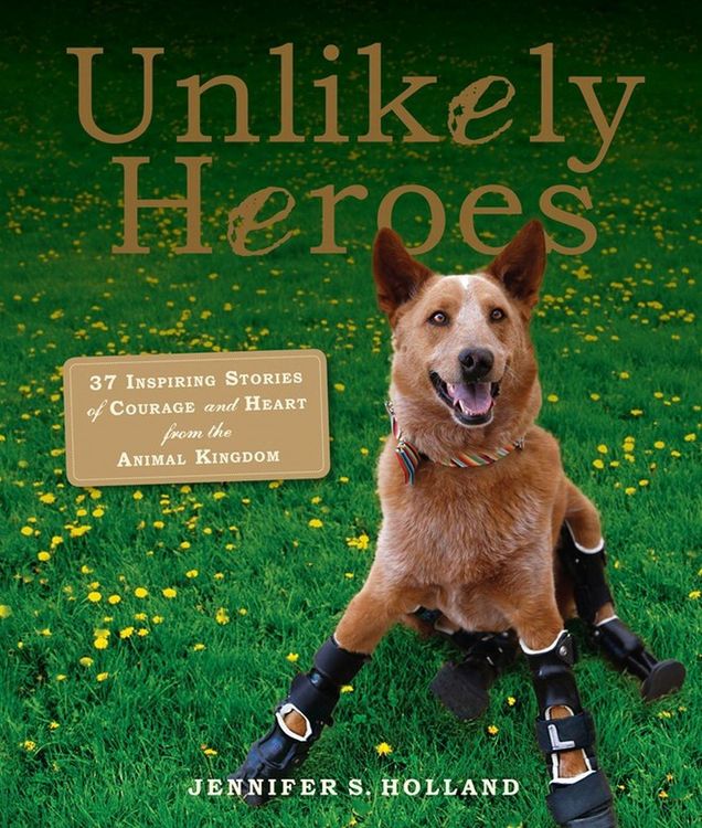 Produktbild: Unlikely Heroes