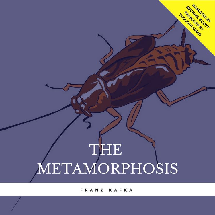 Produktbild: The Metamorphosis