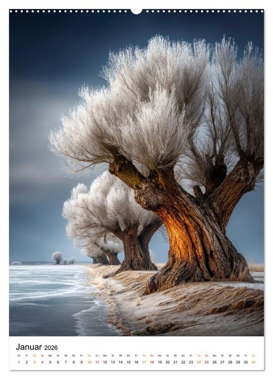 Produktbild: Wintermomente - Natur im wei&szlig;en Kleid (hochwertiger Premium Wandkalender 2026 DIN A2 hoch), Kunstdruck in Hochglanz