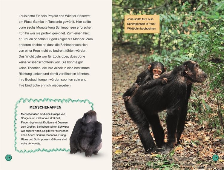 Produktbild: SUPERLESER! Jane Goodall. Ein Leben mit den Schimpansen