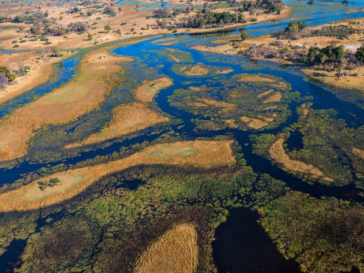 Produktbild: CALVENDO Puzzle Im Okavango-Delta bei Bukwi Island | 1000 Teile Lege-Gr&ouml;&szlig;e 64x48cm Foto-Puzzle f&uuml;r gl&uuml;ckliche Stunden