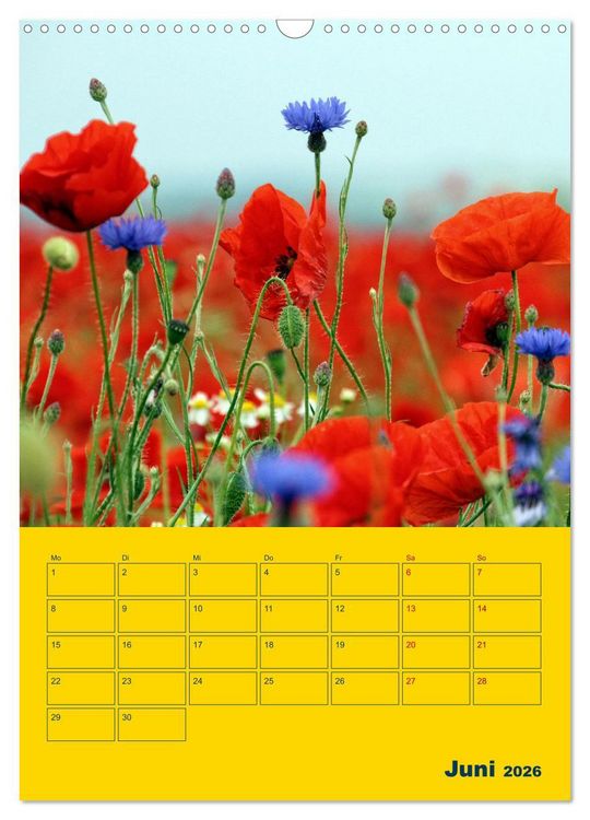 Produktbild: Sehnsuchtsort Ostseeinsel Poel (Wandkalender 2026 DIN A3 hoch), CALVENDO Monatskalender