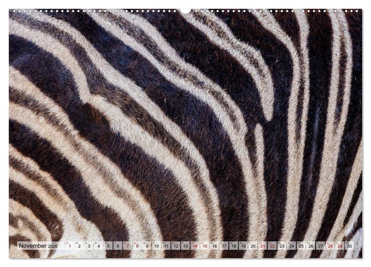 Produktbild: S&uuml;dafrika: Kapstadt, Garden Route und Cape Winelands (Wandkalender 2026 DIN A2 quer), CALVENDO Monatskalender