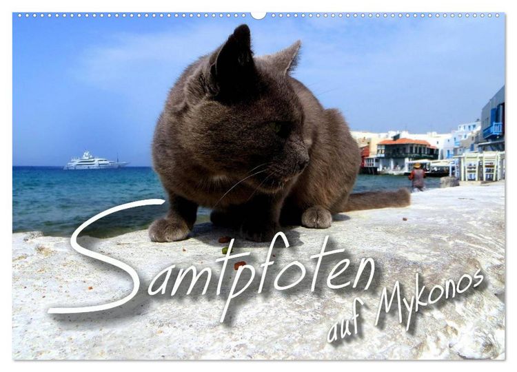 Produktbild: SAMTPFOTEN auf Mykonos (Wandkalender 2026 DIN A2 quer), CALVENDO Monatskalender