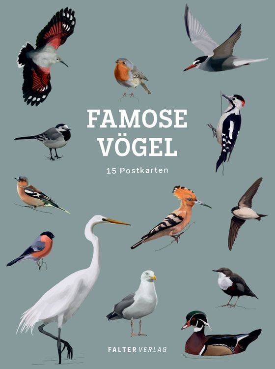 Produktbild: Famose V&ouml;gel - Postkartenbuch
