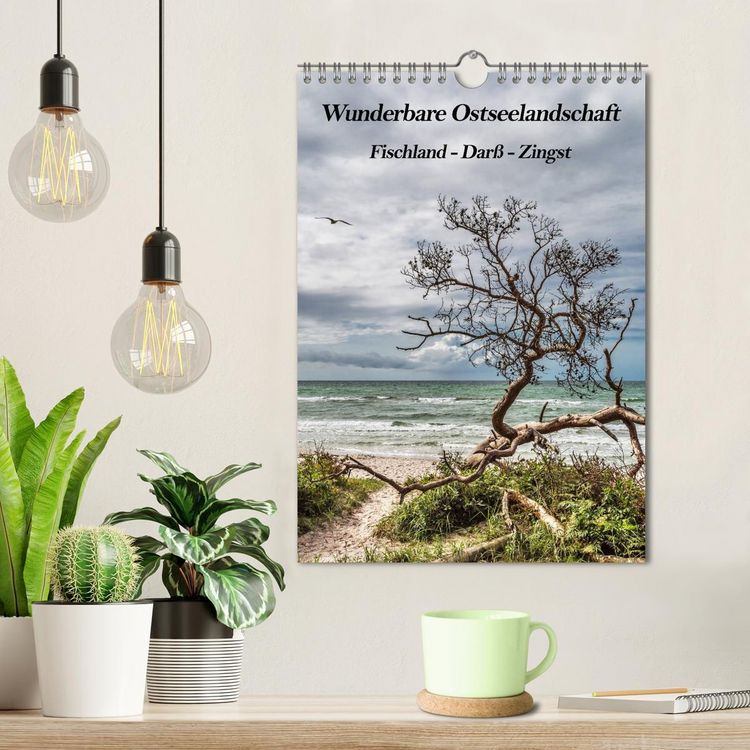 Produktbild: Wunderbare Ostseelandschaft Fischland-Dar&szlig;-Zingst (Wandkalender 2026 DIN A4 hoch), CALVENDO Monatskalender
