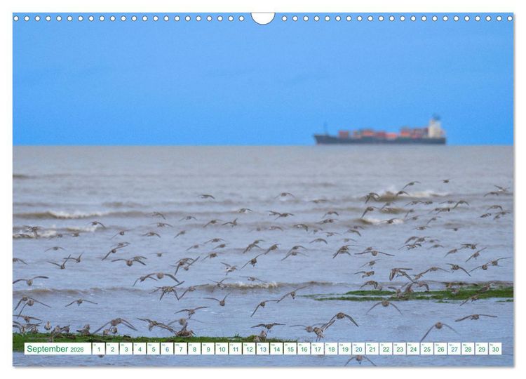 Produktbild: Schillig und Horumersiel - Im Wangerland unterwegs (Wandkalender 2026 DIN A3 quer), CALVENDO Monatskalender