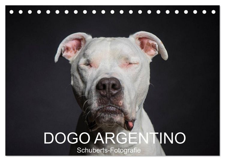 Produktbild: DOGO ARGENTINO (Tischkalender 2026 DIN A5 quer), CALVENDO Monatskalender