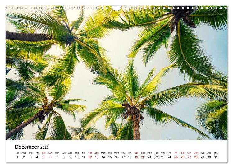 Produktbild: Tropical Vibes (Wall Calendar 2026 DIN A3 landscape), CALVENDO 12 Month Wall Calendar