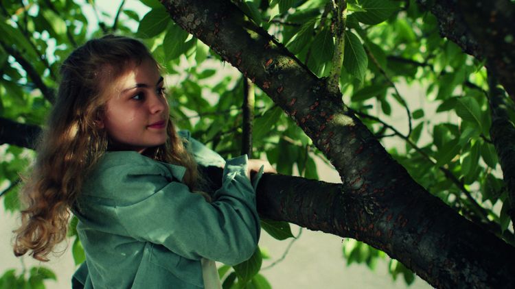 Produktbild: Himbeeren mit Senf
