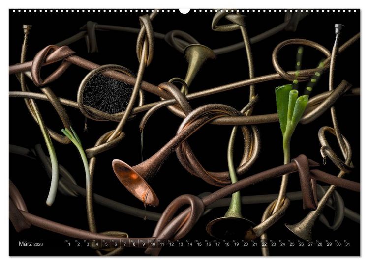 Produktbild: Musica fant&aacute;sia - Die wundersame Welt des Fotok&uuml;nstlers Olaf Bruhn (Wandkalender 2026 DIN A2 quer), CALVENDO Monatskalender