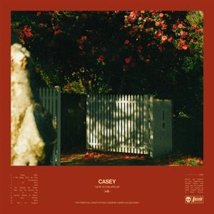 Produktbild: How to Disappear
