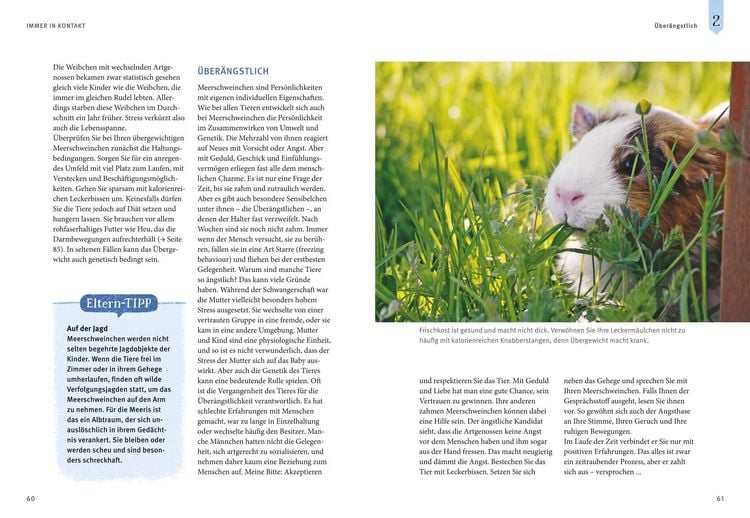 Produktbild: Neugierige Meerschweinchen