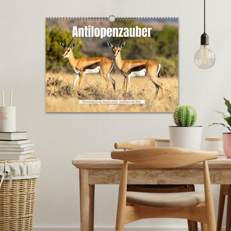 Produktbild: Antilopenzauber (Wandkalender 2027 DIN A3 quer), CALVENDO Monatskalender