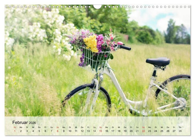 Produktbild: Landhaus-Romantik. Die Farben des Sommers (Wandkalender 2026 DIN A3 quer), CALVENDO Monatskalender