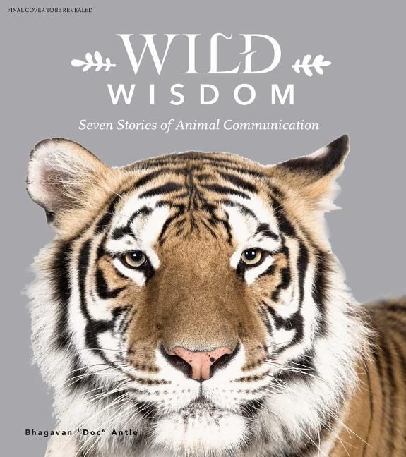 Produktbild: Antle, B: Wild Wisdom