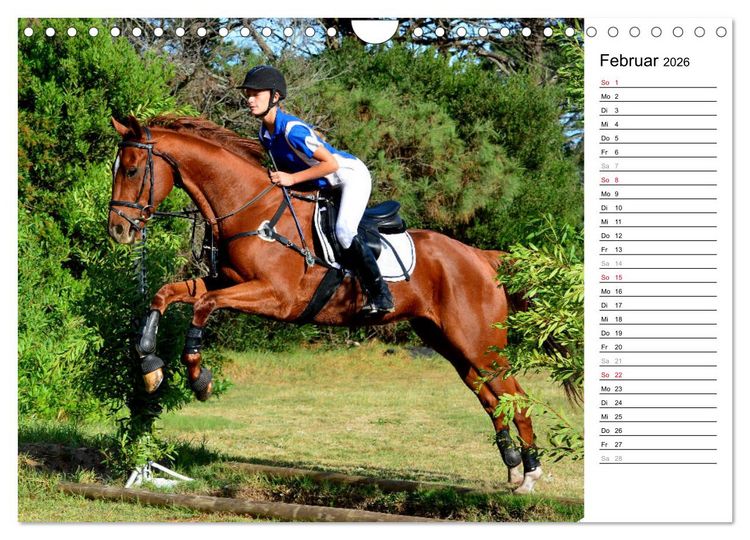 Produktbild: Mein Reitsport Kalender (Wandkalender 2026 DIN A4 quer), CALVENDO Monatskalender