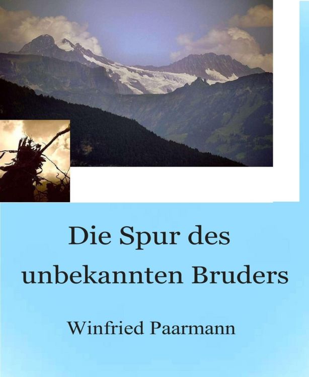 Produktbild: Die Spur des unbekannten Bruders