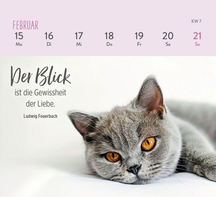 Produktbild: Mini-Wochenkalender 2027: F&uuml;r Katzenfreunde