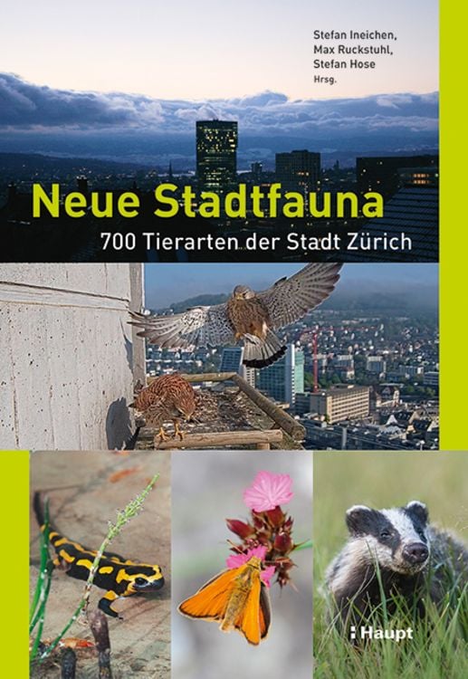Produktbild: Neue Stadtfauna