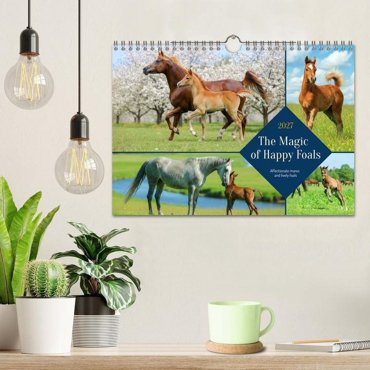 Produktbild: The Magic of Happy Foals (Wall Calendar 2027 DIN A4 landscape), CALVENDO 12 Month Wall Calendar