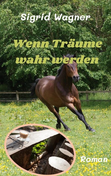 Produktbild: Wenn Tr&auml;ume wahr werden