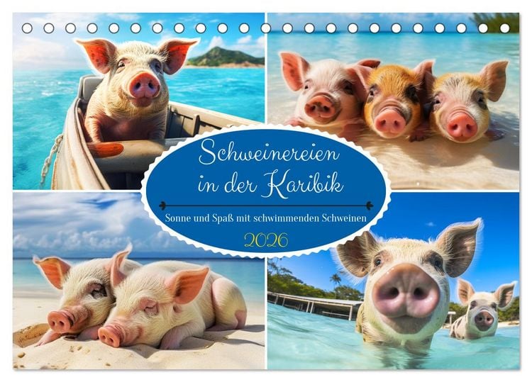 Produktbild: Schweinereien in der Karibik. Sonne und Spa&szlig; mit schwimmenden Schweinen (Tischkalender 2026 DIN A5 quer), CALVENDO Monatskalender