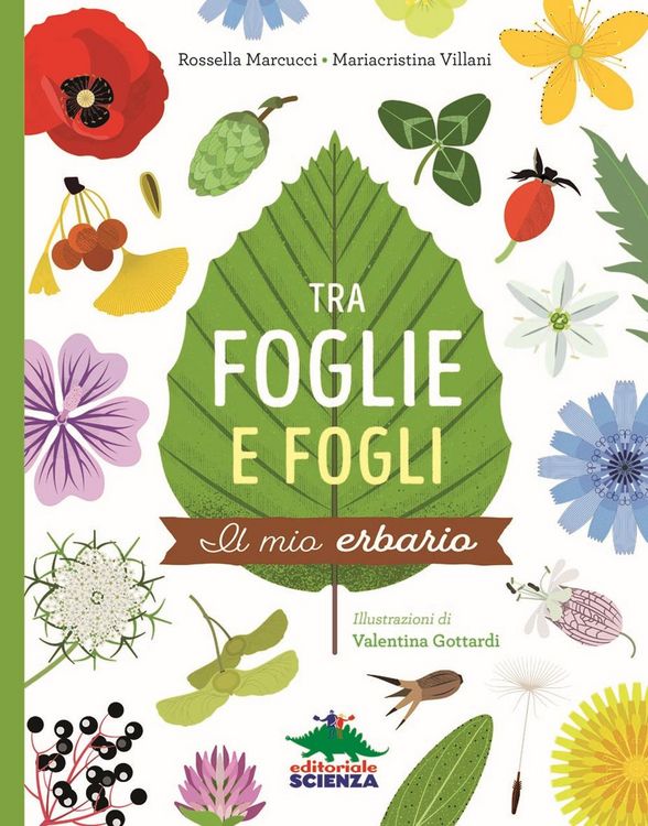 Produktbild: Tra foglie e fogli. Il mio erbario