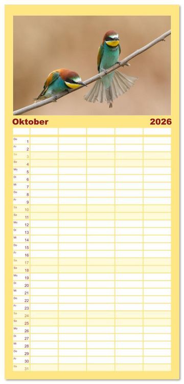 Produktbild: Familienplaner 2026 - Bunte Flieger mit 5 Spalten (Wandkalender, 21 x 45 cm) CALVENDO