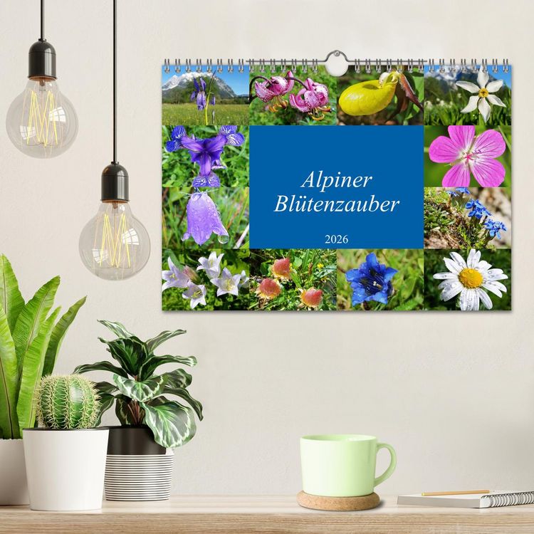 Produktbild: Alpiner Bl&uuml;tenzauber (Wandkalender 2026 DIN A4 quer), CALVENDO Monatskalender
