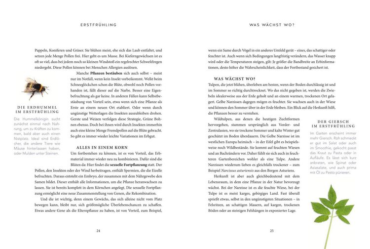 Produktbild: Das gr&uuml;ne Wunder