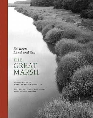 Produktbild: Between Land and Sea: The Great Marsh