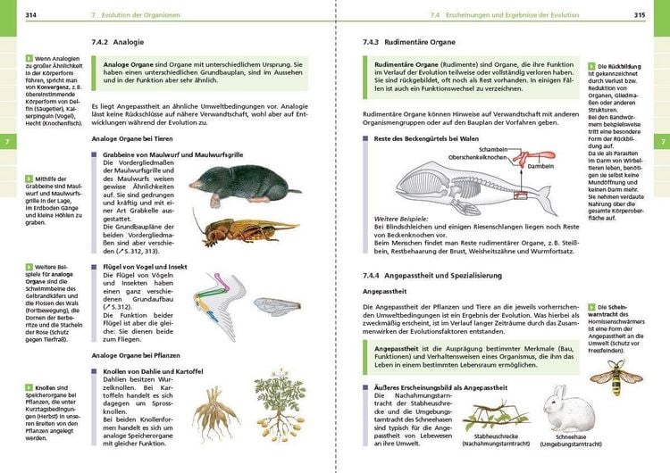 Produktbild: Basiswissen Schule &ndash; Biologie 5. bis 10. Klasse