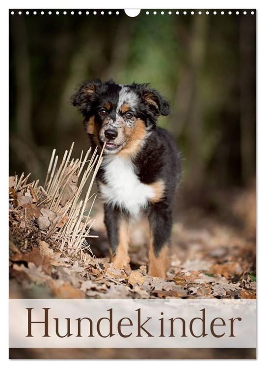 Produktbild: Hundekinder (Wandkalender 2026 DIN A3 hoch), CALVENDO Monatskalender