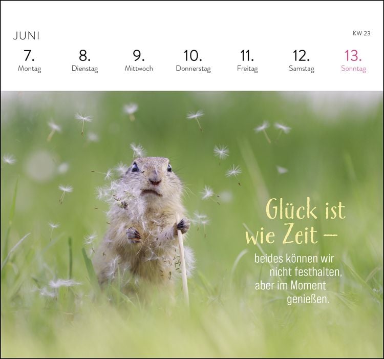 Produktbild: Postkartenkalender 2027: Kleine Gl&uuml;cksbringer f&uuml;r dein Jahr