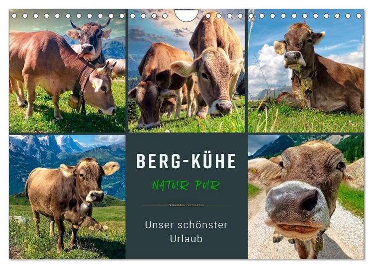 Produktbild: Berg-K&uuml;he, Natur pur - unser sch&ouml;nster Urlaub (Wandkalender 2026 DIN A4 quer), CALVENDO Monatskalender