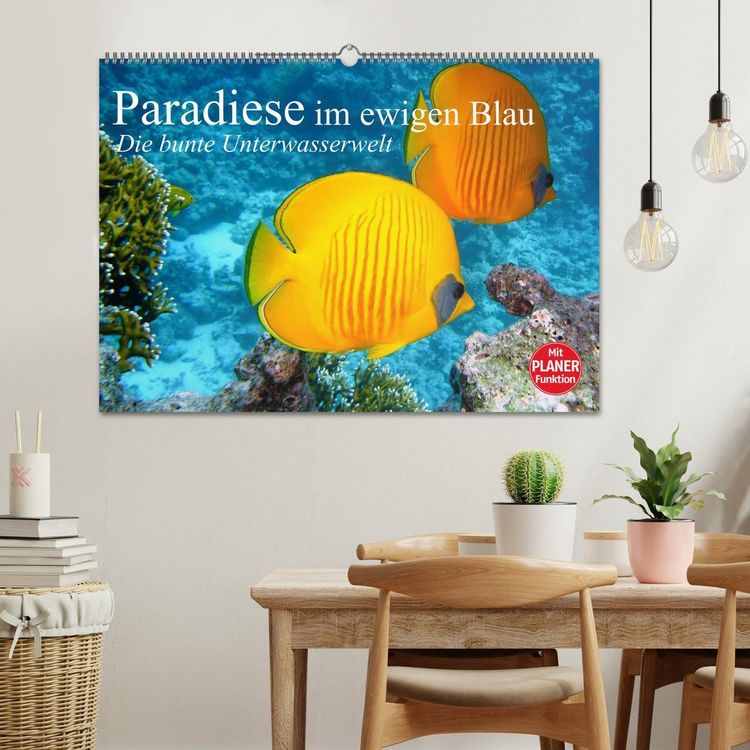 Produktbild: Paradiese im ewigen Blau. Die bunte Unterwasserwelt (Wandkalender 2026 DIN A2 quer), CALVENDO Monatskalender