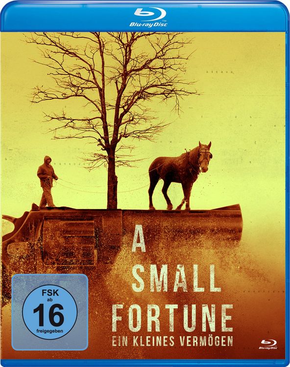 Produktbild: A Small Fortune - Ein kleines Verm&ouml;gen