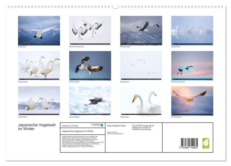 Produktbild: Japanische Vogelwelt im Winter (hochwertiger Premium Wandkalender 2027 DIN A2 quer), Kunstdruck in Hochglanz