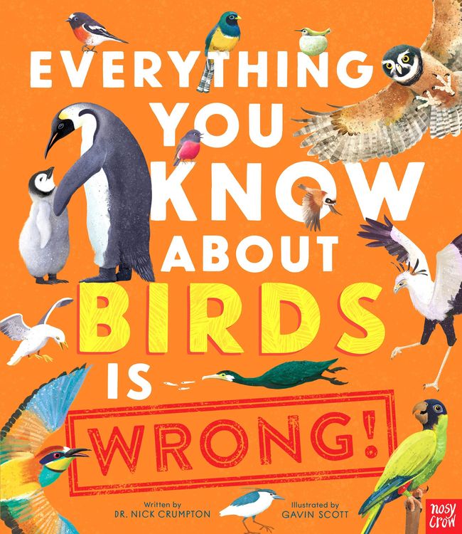 Produktbild: Everything You Know About Birds is Wrong!