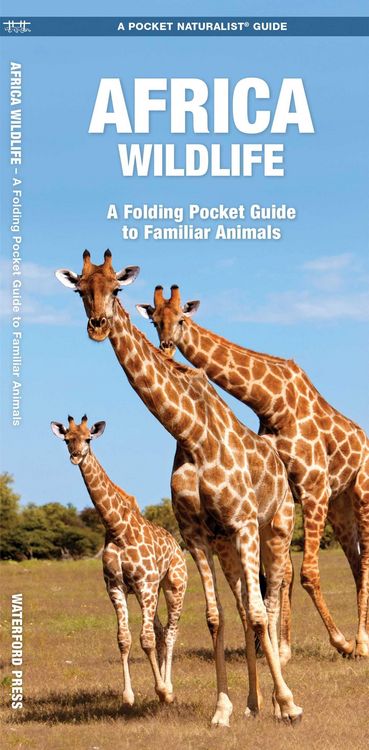 Produktbild: Africa Wildlife