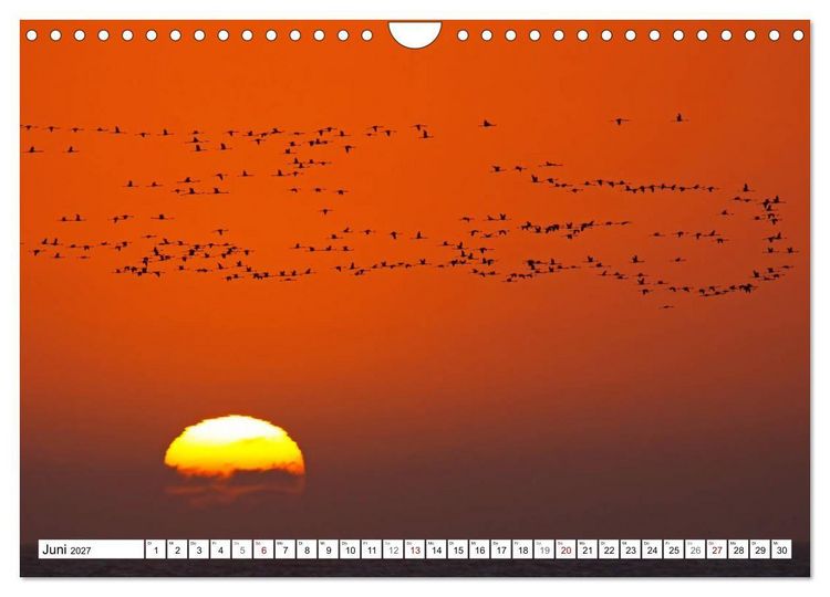 Produktbild: Namibia - Weite sp&uuml;ren (Wandkalender 2027 DIN A4 quer), CALVENDO Monatskalender