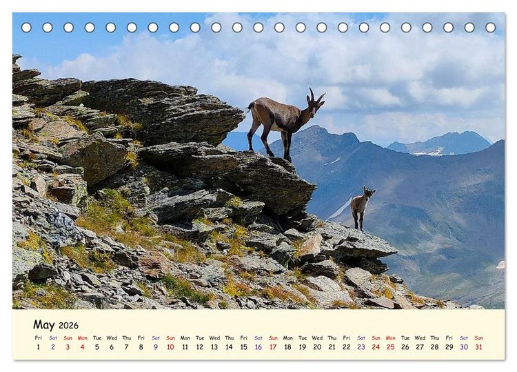 Produktbild: Switzerland and its majestic Alps (Desk Calendar 2026 DIN A5 landscape), CALVENDO 12 Month DeskCalendar