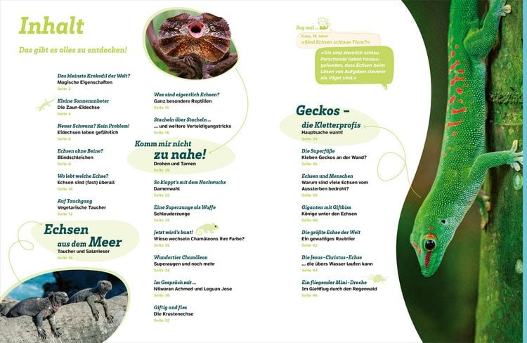 Produktbild: WAS IST WAS Echsen. Kleine Drachen hautnah