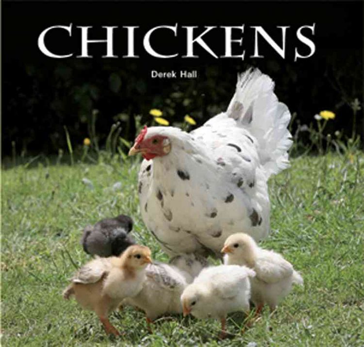 Produktbild: Chickens